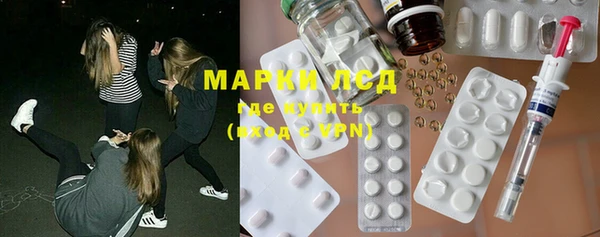 spice Богородицк