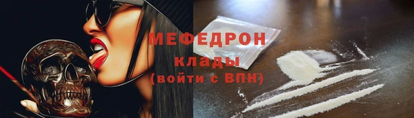 spice Богородицк