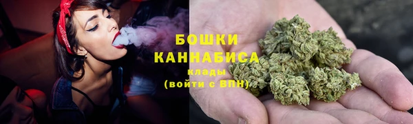 spice Богородицк