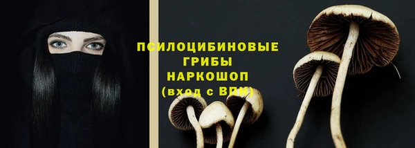 сатива Богданович