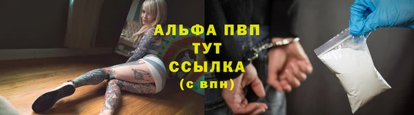 шишки Беломорск