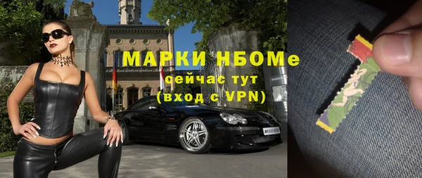 spice Богородицк