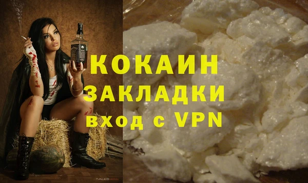 spice Богородицк