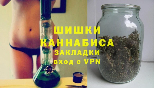 сатива Богданович